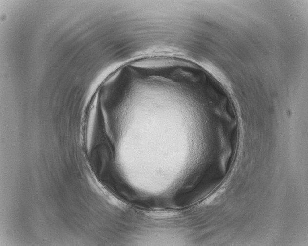 X0000059101296200510211623