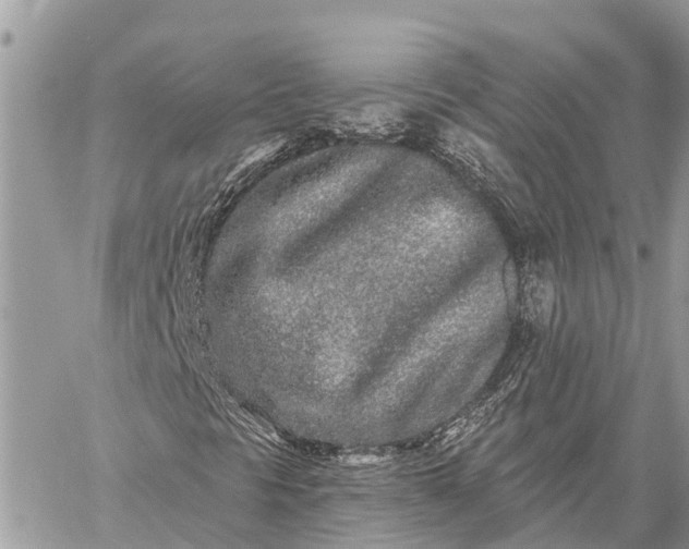 X0000059101297200510211622