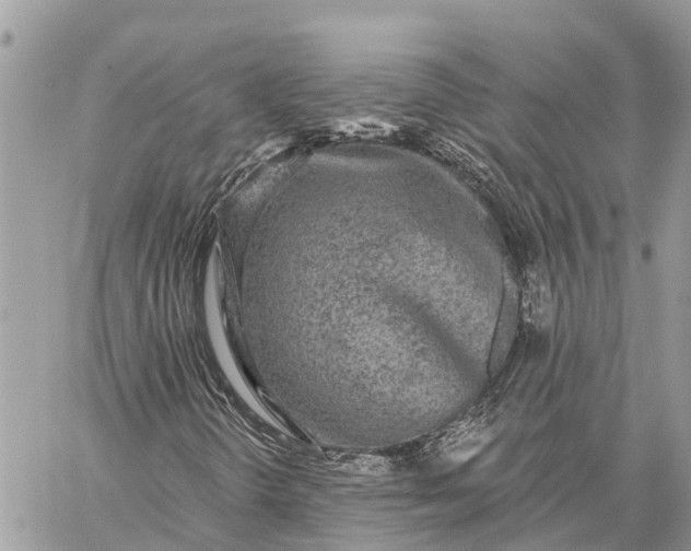 X0000059101298200510211622