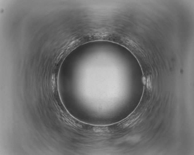 X0000059101299200510211622