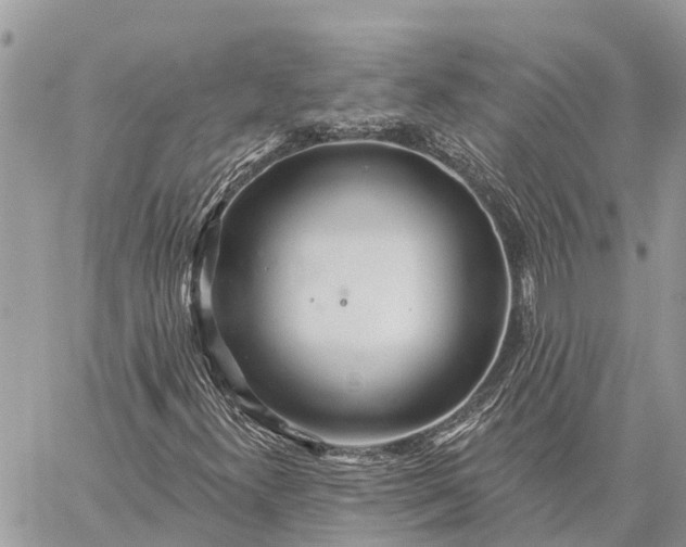 X0000059101300200510211622