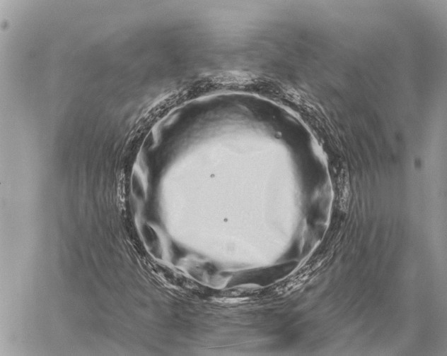 X0000059101301200510211622