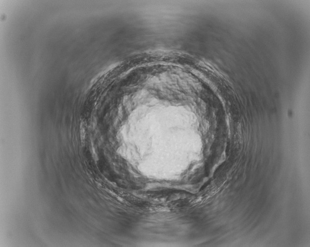 X0000059101302200510211622