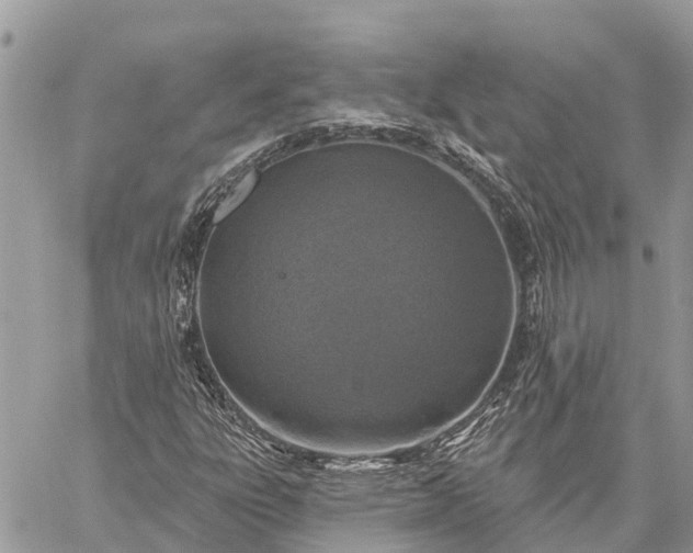 X0000059101303200510211622