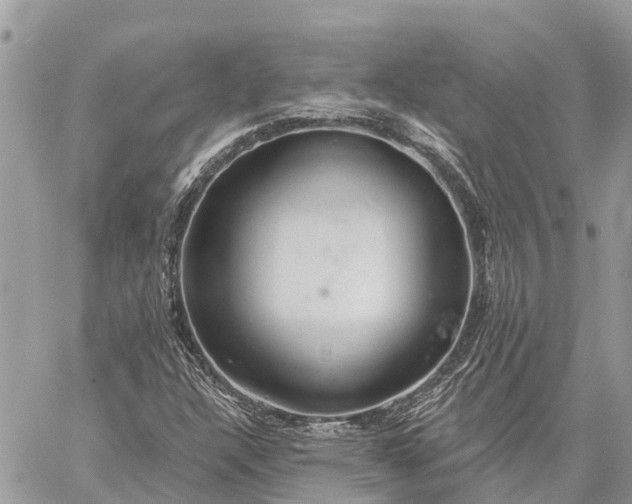 X0000059101304200510211622