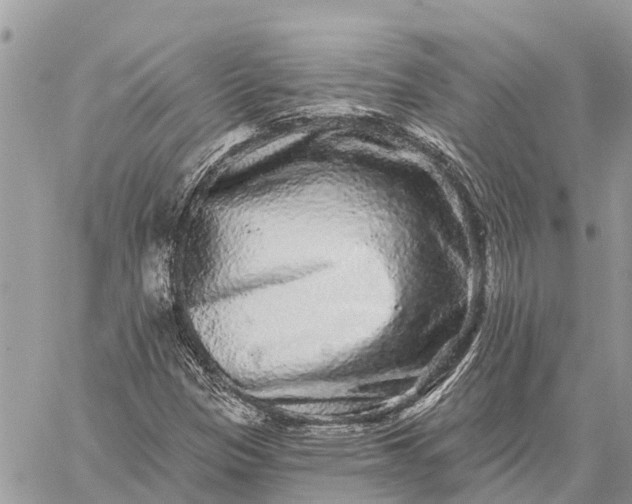 X0000059101305200510211622