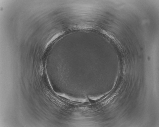 X0000059101306200510211622