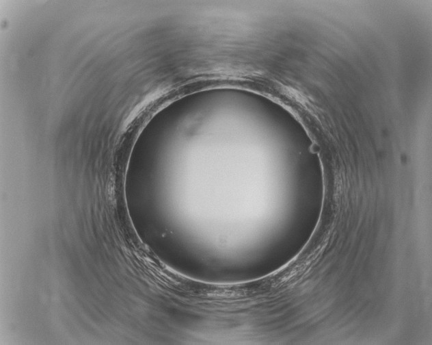 X0000059101307200510211622