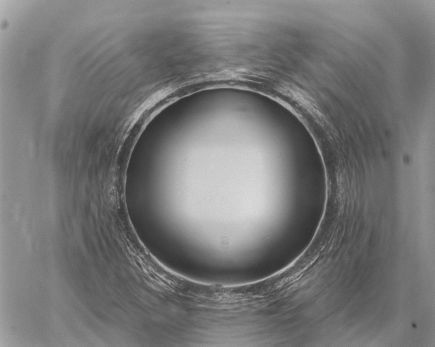 X0000059101308200510211622