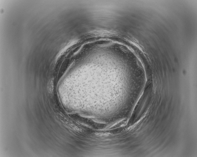 X0000059101309200510211622