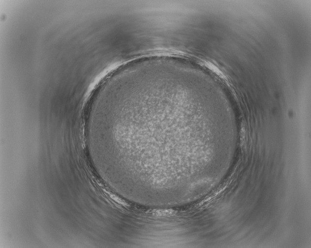 X0000059101310200510211622