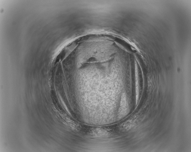 X0000059101311200510211622