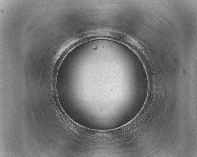 X0000059101312200510211622