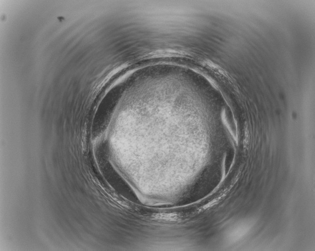 X0000059101313200510211622