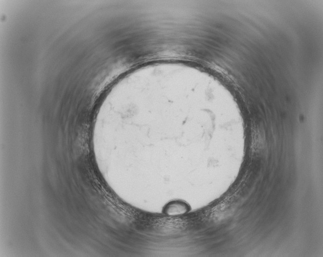 X0000059101314200510211622