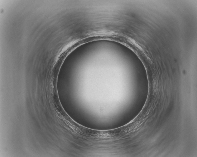 X0000059101315200510211622