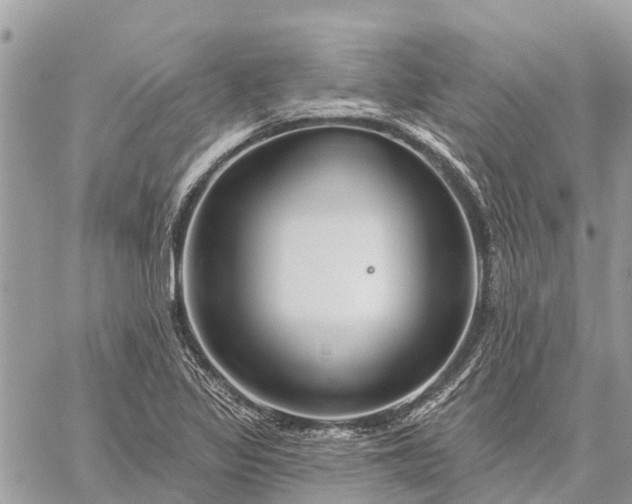 X0000059101317200510211622