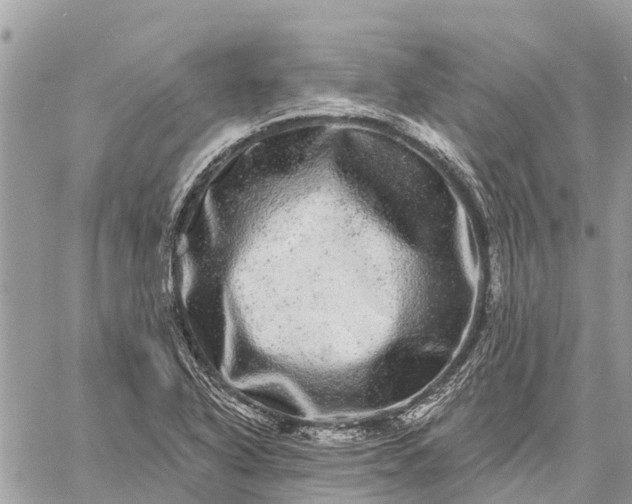 X0000059101318200510211622