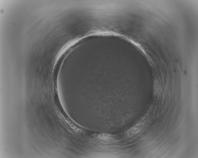 X0000059101319200510211622