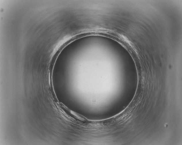 X0000059101320200510211622