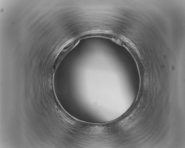 X0000059101321200510211622