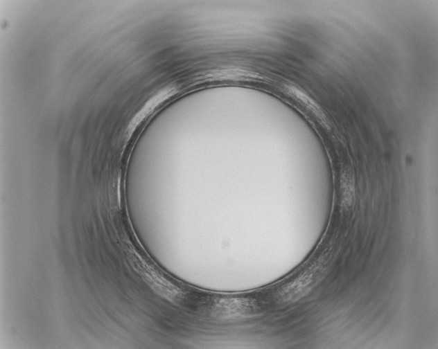 X0000059101322200510211622