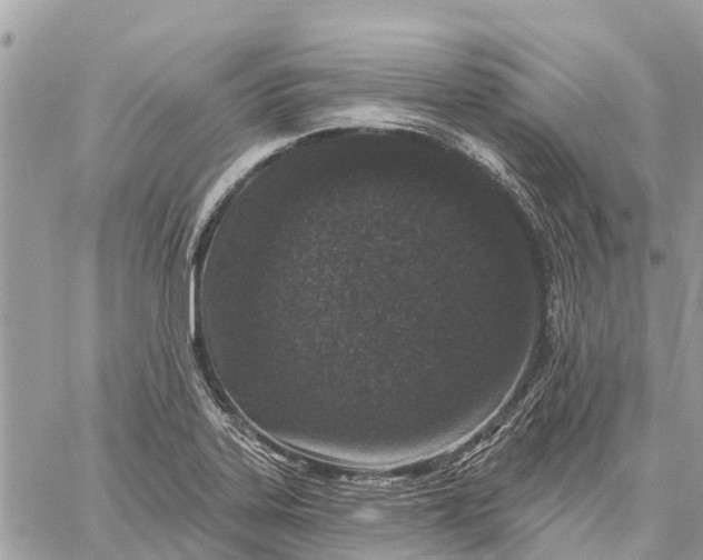 X0000059101323200510211622