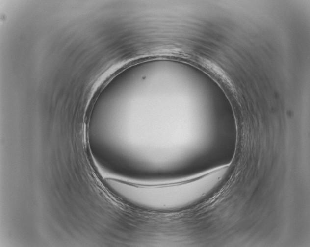 X0000059101324200510211622