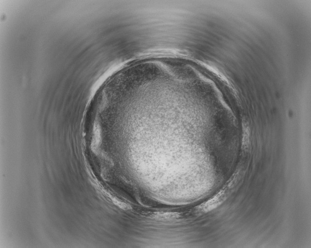 X0000059101325200510211622