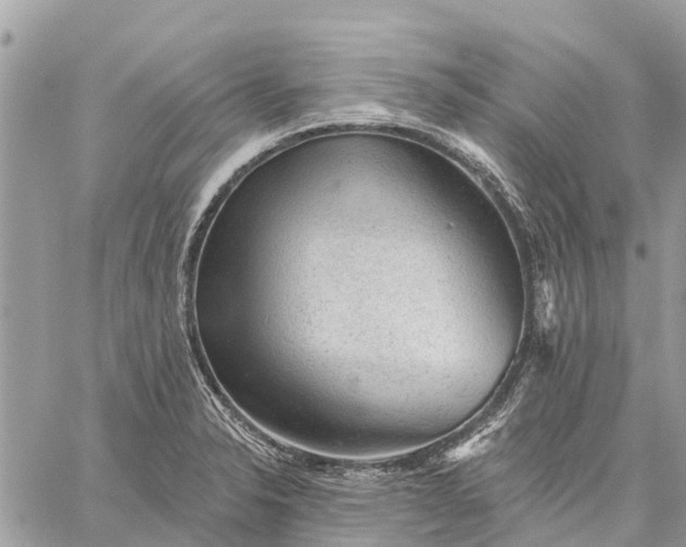 X0000059101326200510211622