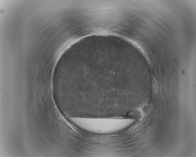 X0000059101327200510211622