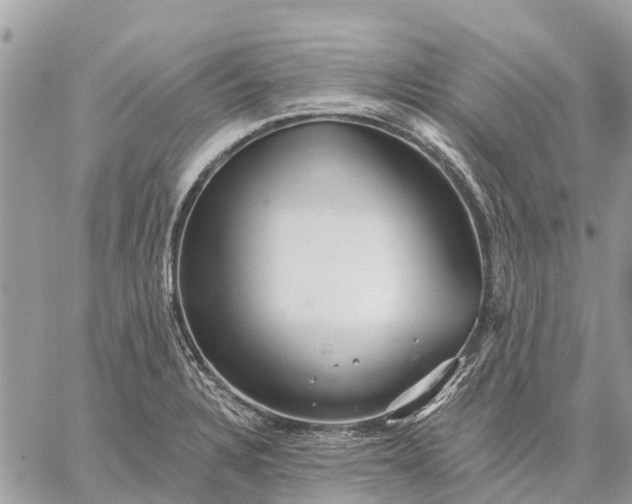 X0000059101328200510211622