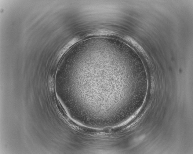 X0000059101329200510211623