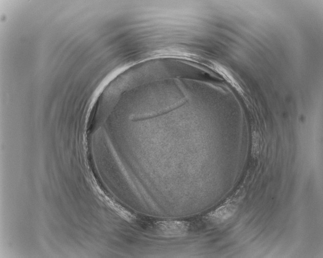 X0000059101331200510211623