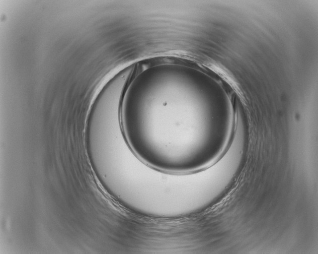 X0000059101332200510211623