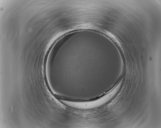 X0000059101334200510211623