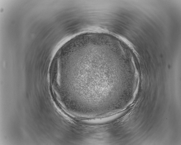 X0000059101335200510211623