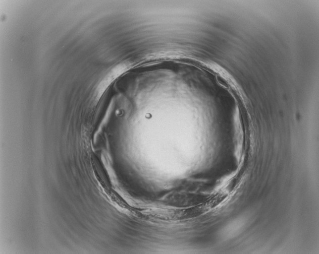 X0000059101337200510211623