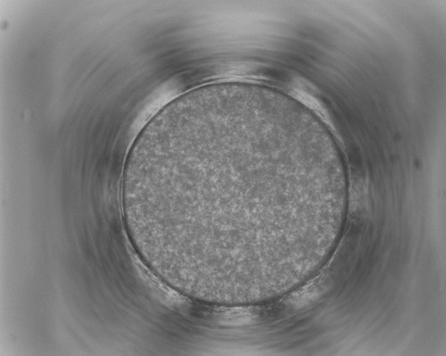 X0000059101338200510211623