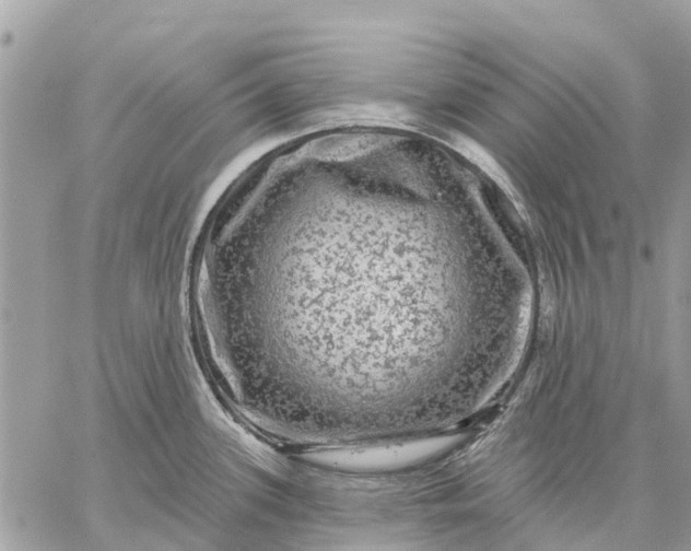 X0000059101339200510211623