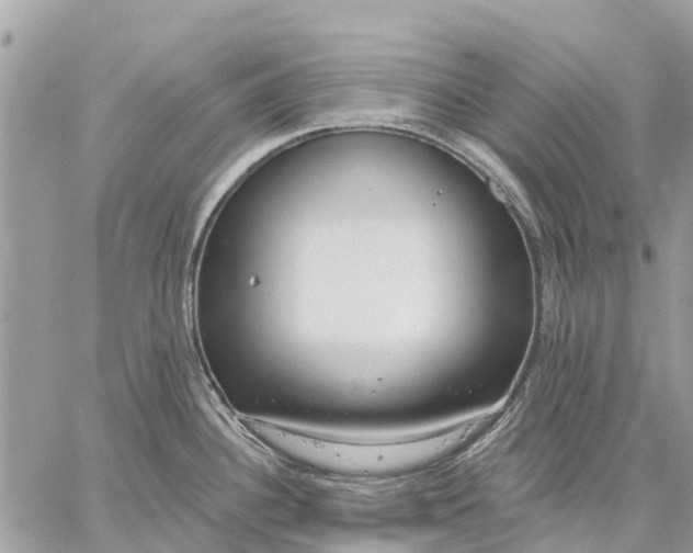 X0000059101340200510211623