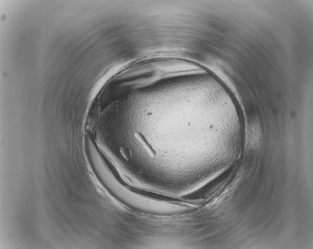 X0000059101341200510211623