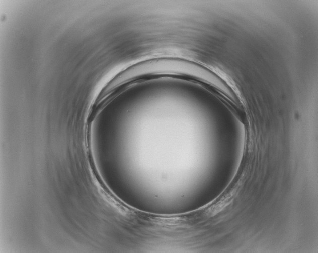 X0000059101342200510211623