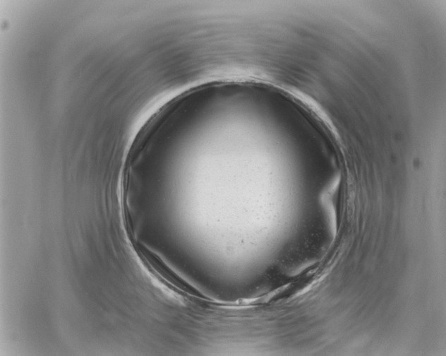 X0000059101343200510211623