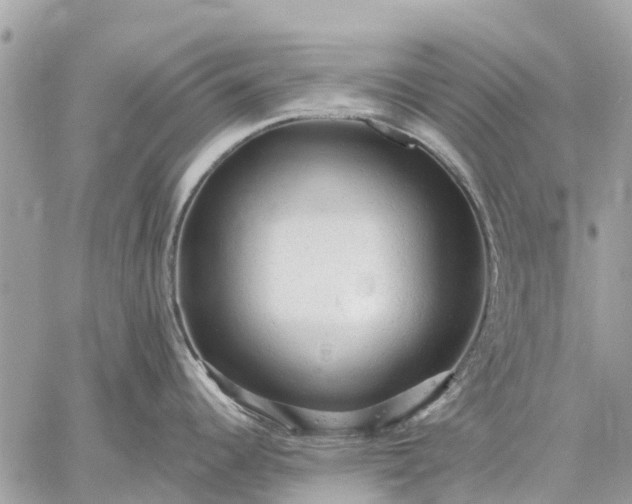 X0000059101344200510211623