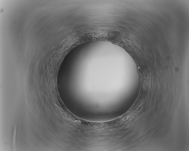 X0000059101345200510211622