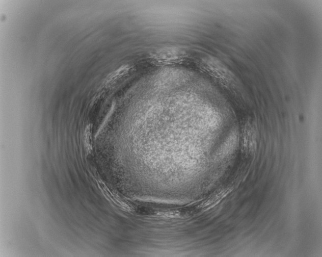 X0000059101346200510211622