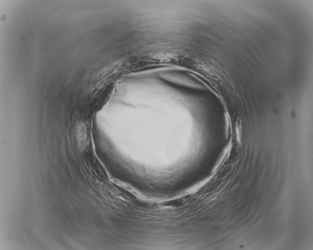 X0000059101347200510211622