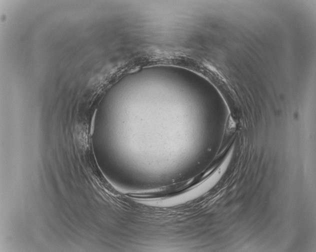 X0000059101348200510211622