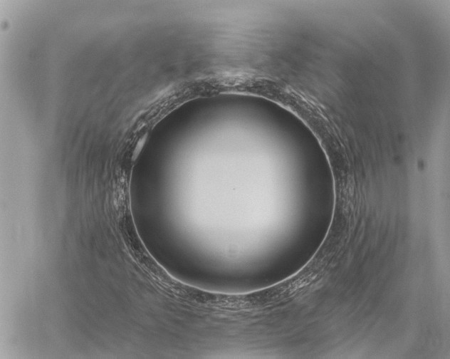 X0000059101349200510211622